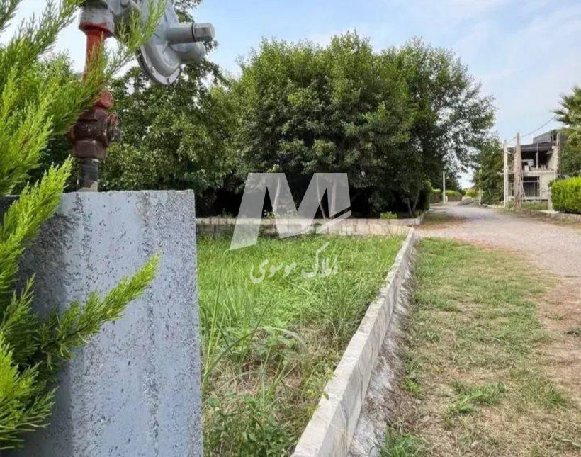 خرید زمین در رویان 300 متری شهرک قطعه جنگلی سند دار | 300 متر