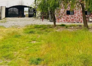 خرید زمین در چمستان ۲۶۰ متری با انشعابات فقط ۶۰۰ میلیون | ۲۶۰ متر