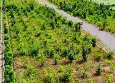 خرید زمین در نوشهر 300 متر قابل قطعه بندی سند دار | 300 متر