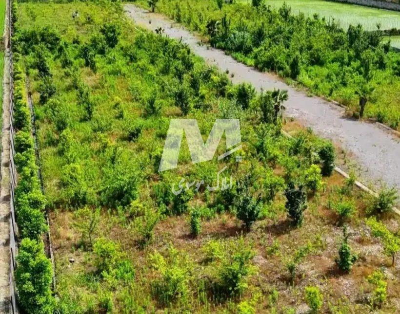 خرید زمین در نوشهر 300 متر قابل قطعه بندی سند دار | 300 متر