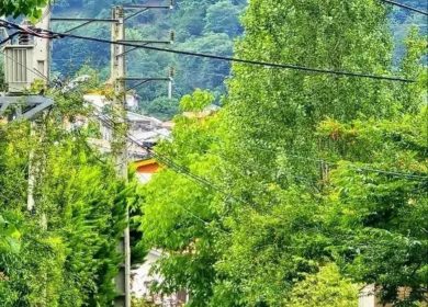 فروش زمین داخل بافت مسکونی چمستان | ۲۰۰ متر