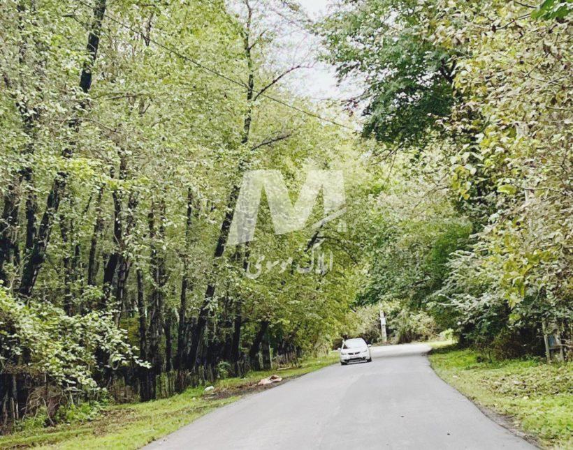 فروش ویلا باغ با سند شش دانگ | 350 متر