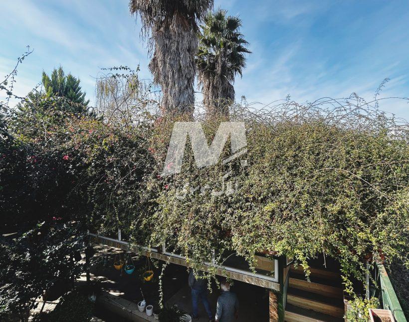 فروش ویلا باغ جاده دریا | 580 متر