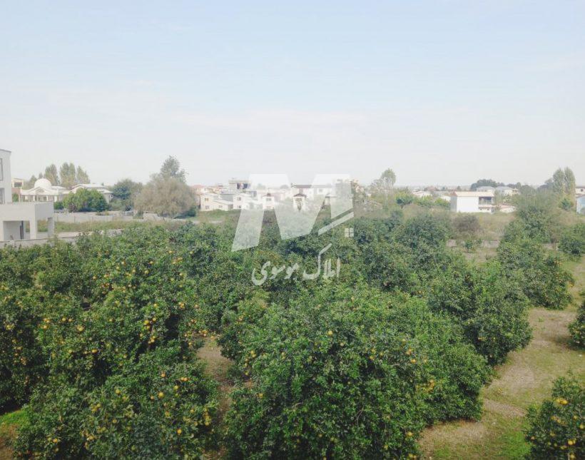 خرید ویلا دوبلکس وسط باغ مرکبات | 300 متر