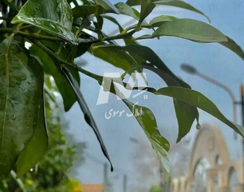 خرید زمین ۳۰۰ متری آماده ساخت شهرک جنگلی همصفا | ۳۰۰ متر