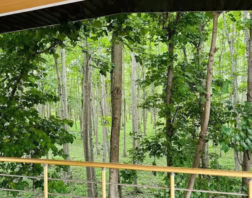 خرید ویلا باغ استخردار منطقه الیمالات نور | 550 متر