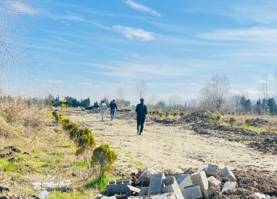 فروش زمین ۵۰۰ متری سند دار شهرک ۸۰ هکتاری رویان جنگلی | ۵۰۰ متر