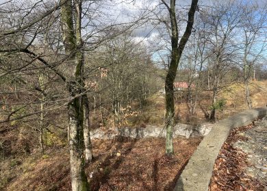 فروش زمین مسکونی در باغ میرداماد رامسر | 1000 متر