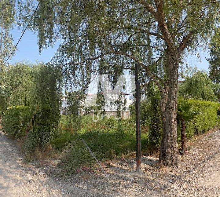 خرید زمین شهرک ۳۰ پلاکه با سند تک برگ در امیر آباد چمستان | ۳۰۰ متر