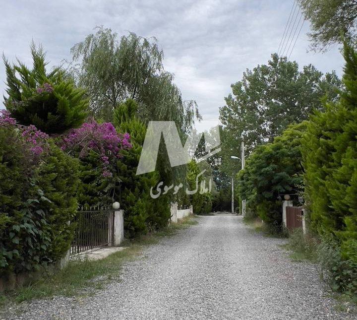 خرید زمین در شهرک هکتاری قطعه ۱ جنگل در نور الیمالات | ۳۰۰ متر
