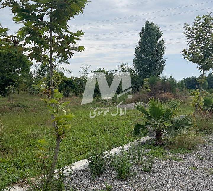 خرید زمین در شهرک هکتاری قطعه ۱ جنگل در نور الیمالات | ۳۰۰ متر