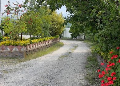 خرید زمین داخل شهرک قطعه ۱ جنگل در چمستان نعمتآباد | ۳۰۰ متر