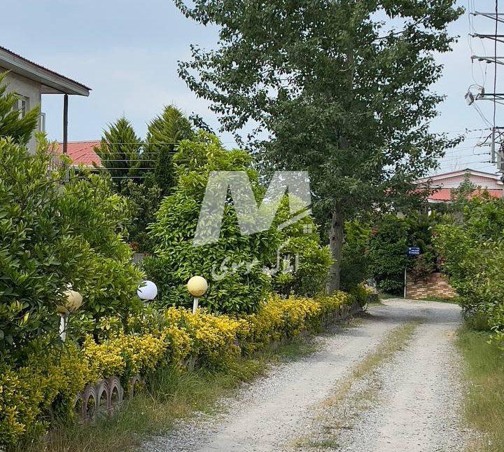 خرید زمین داخل شهرک قطعه ۱ جنگل در چمستان نعمت‌آباد | ۳۰۰ متر