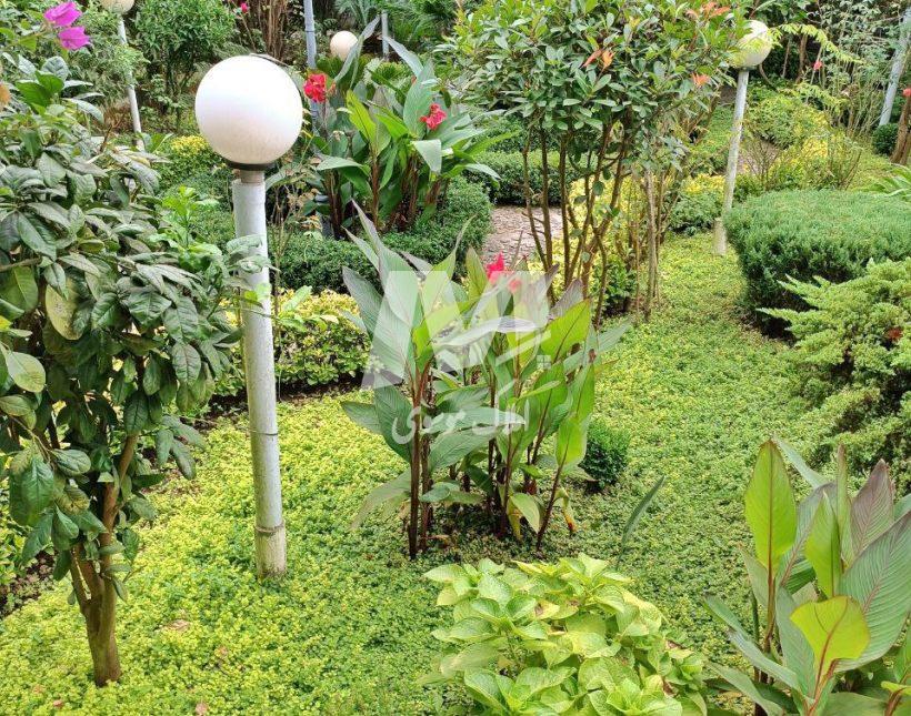 فروش باغ ویلا با حیاط سازی سرسبز و دلنشین 350 متری نوشهر | 350 متر