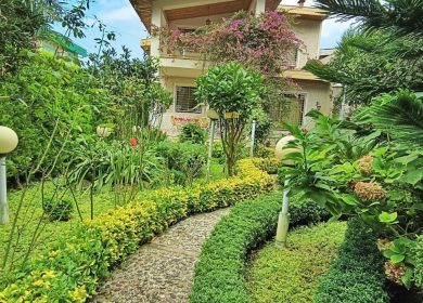 فروش باغ ویلا با حیاط سازی سرسبز و دلنشین 350 متری نوشهر | 350 متر