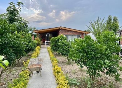 خرید باغ ویلا جنگلی چمستان منطقه برند جوربند مدارک کامل | 450 متر