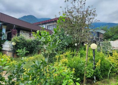 فروش باغ ویلا دل جنگل مدارک کامل نور | 400 متر