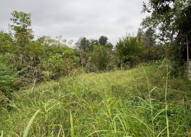 خرید زمین سعادت آباد جنگلی | ۷۵۰ متر