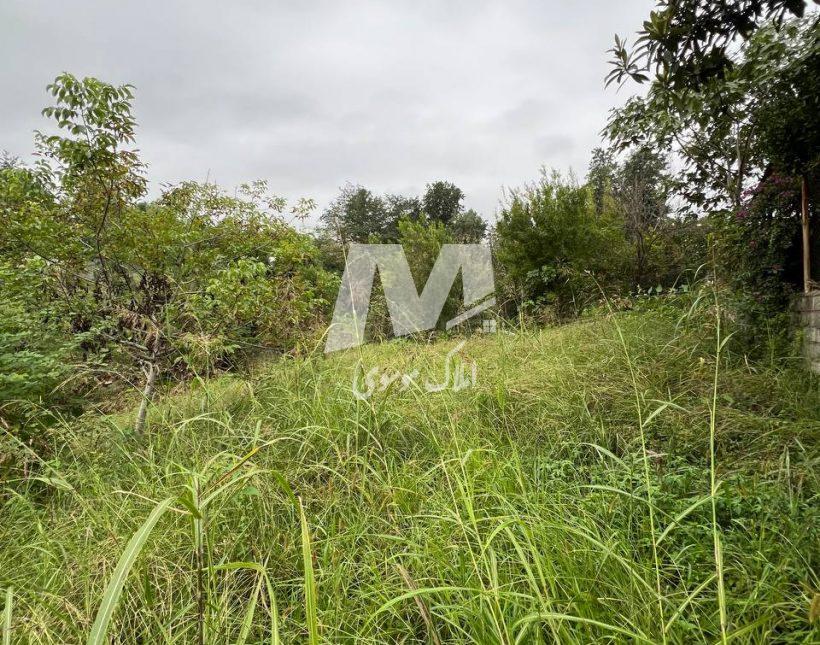 خرید زمین سعادت آباد جنگلی | ۷۵۰ متر