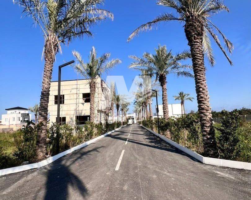 فروش زمین در قواره های ۳۰۰-۴۰۰ متری چلندر | ۳۰۰ متر