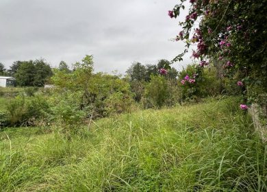 خريد زمين ٧٥٠ متري شهركي در منطقه برند چمستان | 750 متر