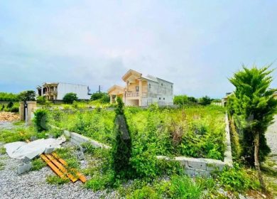 خرید زمین در نور ۳۵۰ متری سند دار با کد رهگیری | ۳۵۰ متر