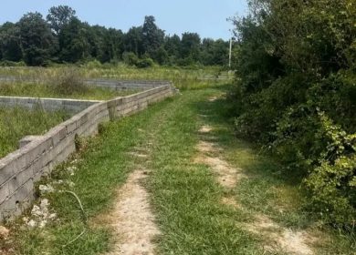 خرید زمین در نور ۵۰۰ متری سند دار شهرکی | ۵۰۰ متر