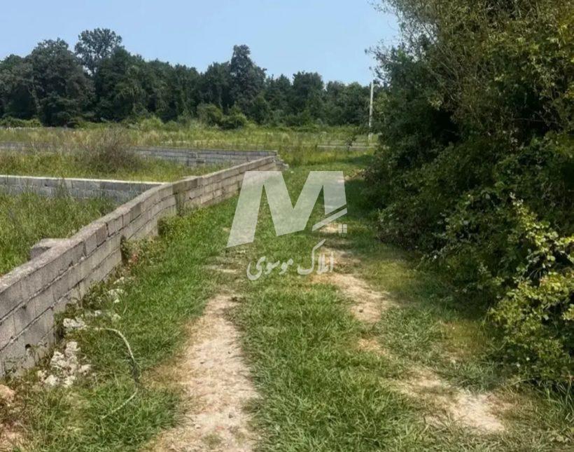 خرید زمین در نور ۵۰۰ متری سند دار شهرکی | ۵۰۰ متر