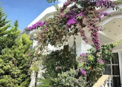 فروش ویلای ۲۲۰ متری حیاط سازی با صفا مدارک دار نور جنگلی | ۲۲۰ متر