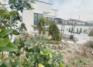 فروش ویلا باغ همکف روف دار 300 متری نور | 300 متر