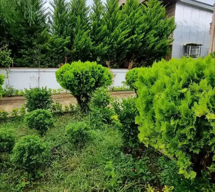خرید ویلا باغ کلاسیک منطقه آپادانا چمستان | 350 متر