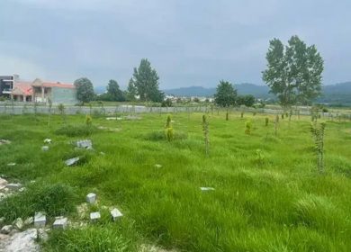 خرید زمین در چمستان قواره 280 و 300 متری سند دار | 280 متر