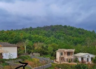 خرید زمین در نور ۲۵۰ متری سند دار با ویوی جنگل | ۲۵۰ متر