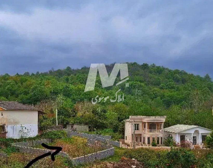 خرید زمین در نور ۲۵۰ متری سند دار با ویوی جنگل | ۲۵۰ متر