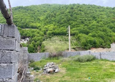 خرید زمین در نور ۳۰۰ متری با ویوی جنگل و کوه | ۳۰۰ متر