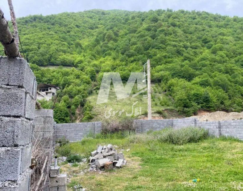 خرید زمین در نور ۳۰۰ متری با ویوی جنگل و کوه | ۳۰۰ متر