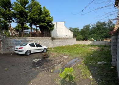 فروش زمین پلاک اول جنگل آماده ساخت با سند تک برگ | 230 متر