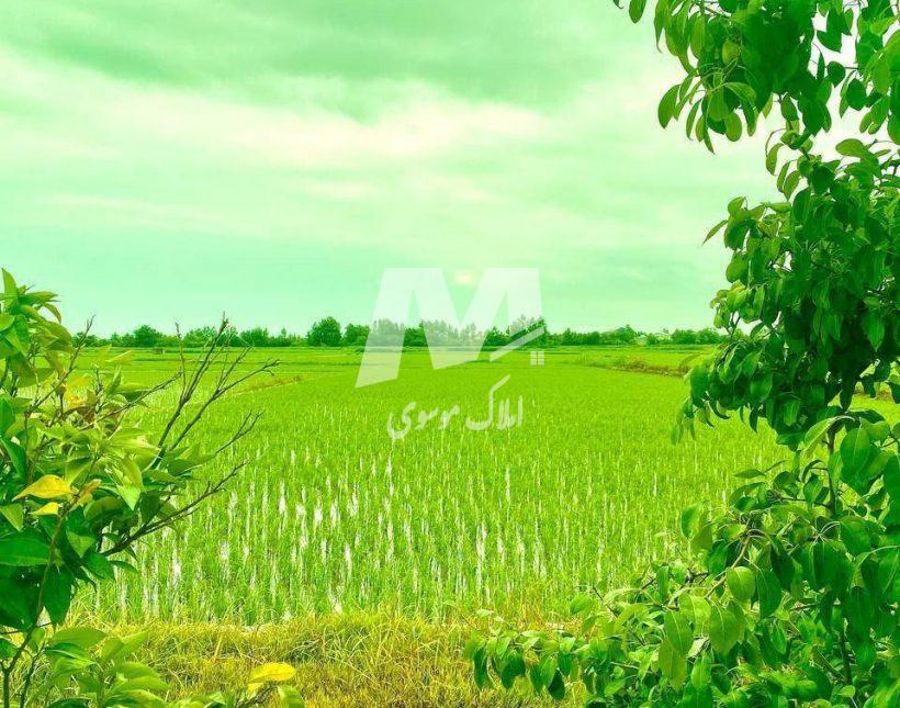 فروش باغ ویلا نیم پیلوت 230 متری مدارک کامل | 230 متر