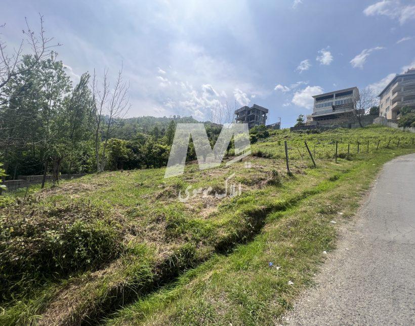 فروش زمین مسکونی در دالخانی رامسر | 604 متر