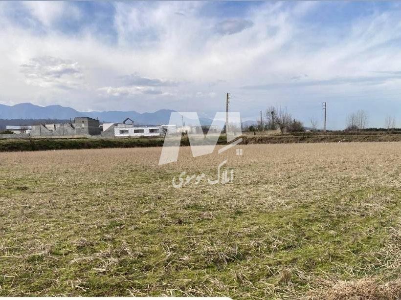 فروش زمین کشاورزی چسبیده به جنگل | 6000 متر