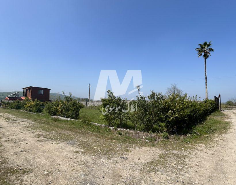 مجموعه کلبه سوئیسی پلاک ۱ جنگل | ۱۸۰ متر