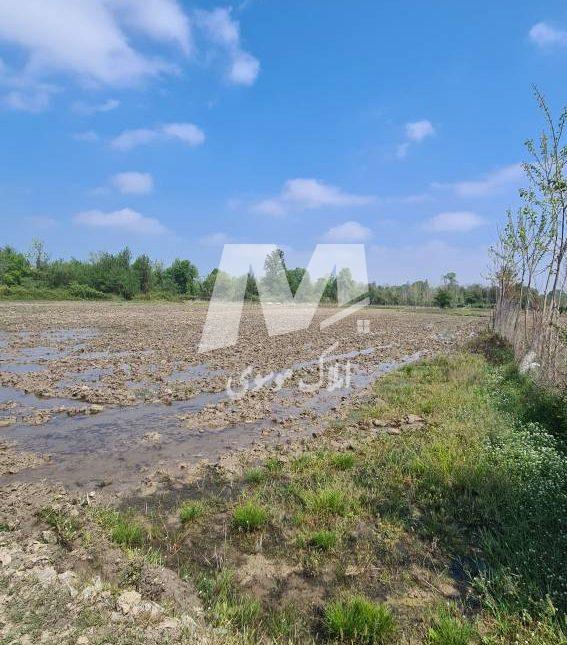 فروش زمین کشاورزی متری ۲.۱۰۰ | 22000 متر