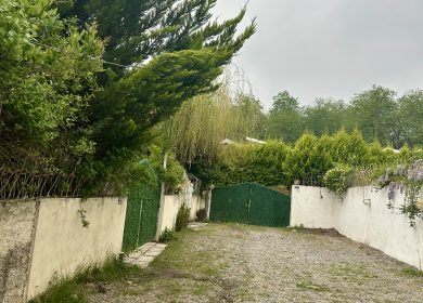 فروش زمین سند دار پلاک ۱ جنگل | ۲۵۰ متر