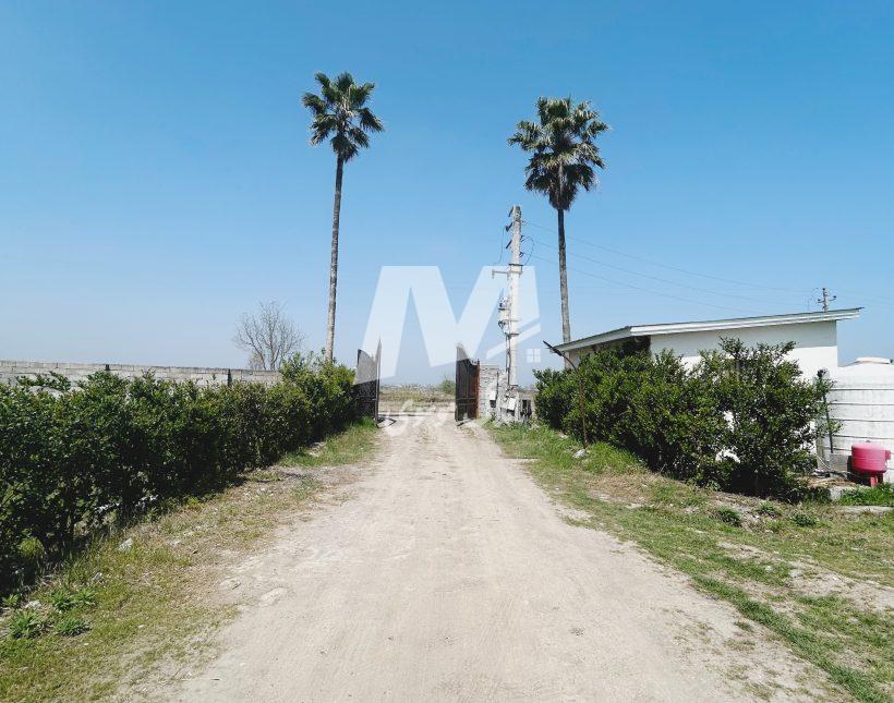 مجموعه کلبه سوئیسی پلاک ۱ جنگل | ۱۸۰ متر