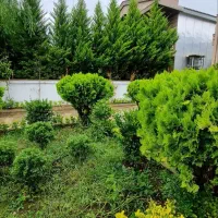 خرید ویلا باغ نما کلاسیک مبله منطقه برند آپادانا | 300 متر