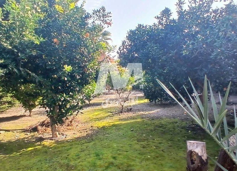 خرید ویلا باغ مشجر استخر دار امیرآباد چمستان | ۱۸۵۰ متر