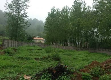 خرید زمین در چمستان قطعه اول جنگل ۴۰۰ و ۵۰۰ متری | ۴۰۰ متر