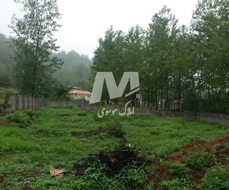خرید زمین در چمستان قطعه اول جنگل ۴۰۰ و ۵۰۰ متری | ۴۰۰ متر