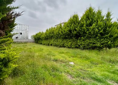 فروش ۲۵۰ متر زمین شهرکی در آهودشت | ۲۵۰ متر