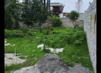 فروش زمین ۲۰۰ متری در دل طبیعت و جنگل | 200 متر
